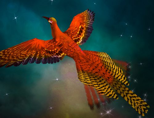 Debunking energy myths: smart meters will not save money for consumers