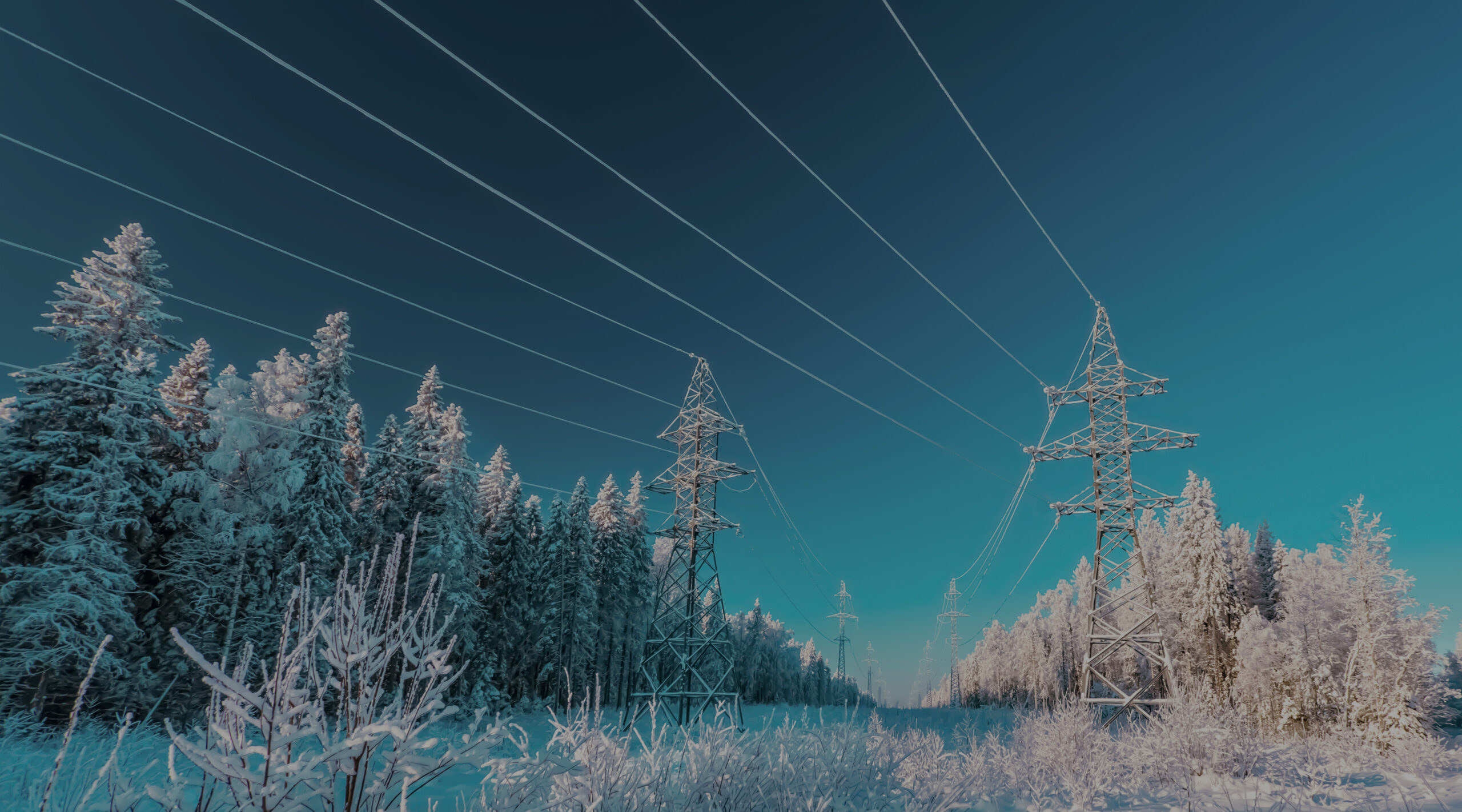 early winter outlook july 22